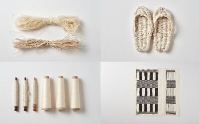 Kibiso – Textile Sustainability in Yamagata – Workshop Visit & Conversation