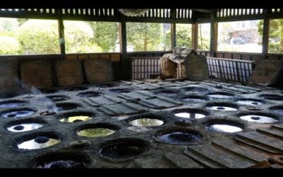 Aizome Indigo Dyeing – Workshop Visit & Conversation with Higeta Tadashi